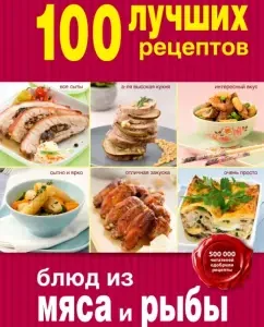 100 best recipes for meat and fish dishes