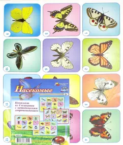 A set of posters