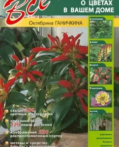 All about flowers in your home: Oktyabrina Ganichkina