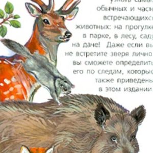 Animals. Definitor for kids