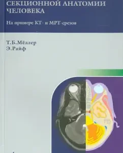 Atlas of sectional anatomy of a person on the example of C-’and MRI cuts. Volume 1. Head and neck: Melller