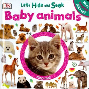 Baby Animals. Little Hide and Seek