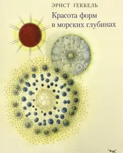 Beauty of forms in sea depths: Ernest Haeckel