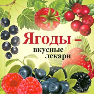 Berries - delicious healers