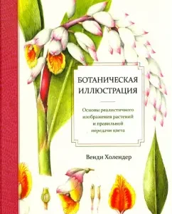 Botanical illustration: Wendy Holander