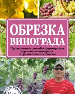Camping of grapes. Verified ways of forming covering grapes in central Russia: Victor Zhvakin