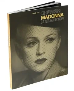 Cherish Madonna Like an Icon: David Foy
