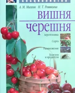 Cherry and cherries: Mikheev