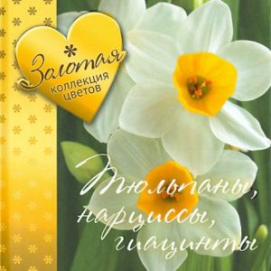 Gold collection of flowers. Tulips