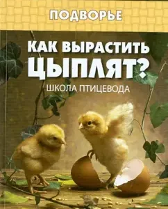 How to grow chickens? Poultry School: Yuri Sedov