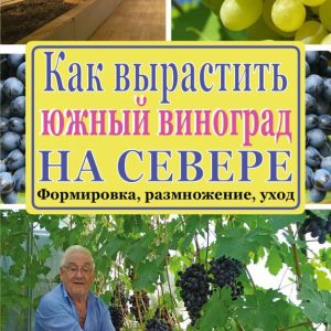 How to grow southern grapes in the north: Yuri Zvzvzvodin