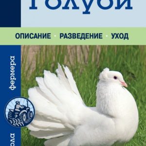 Pigeons: Evgeny Stepnov