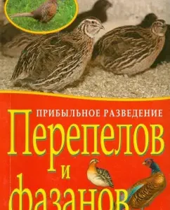 Profitable breeding of quails and pheasants: Plotnikova