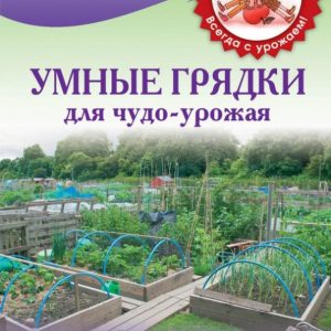 Smart beds for miracle-wagon: Victoria Kirova