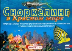Snorkeling in the Red Sea: Andrea Gizotti