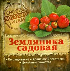 Strawberry garden