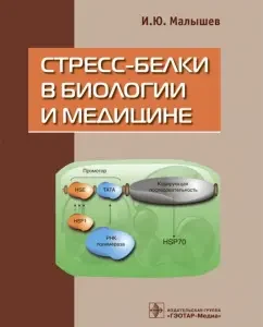 Stress Belys in Biology and Medicine: Igor Malyshev