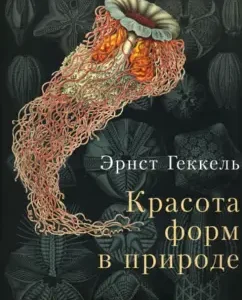The beauty of forms in nature: Ernest Geckel