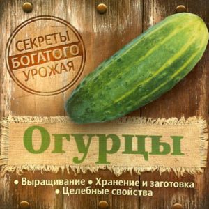 The secrets of a rich harvest. Cucumbers