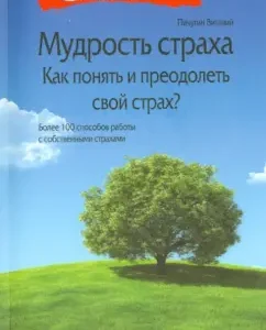 The wisdom of fear. How to understand and overcome your fear?: Vitaly Pichugin