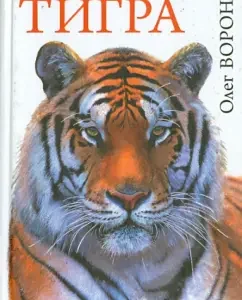 Under the sign of the Tiger: Oleg Vorono