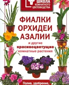 Violets