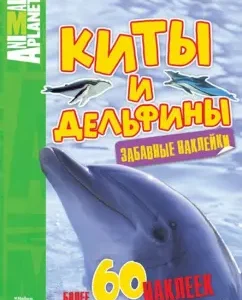 Whales and dolphins
