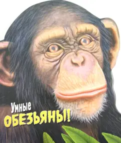 Wild animals. Smart monkeys