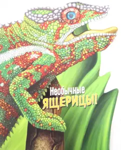 Wild animals. Unusual lizards