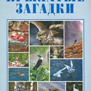 Winged riddles. Photo album to the course "The World". Grades 3-4: Vladimir Sadyrin